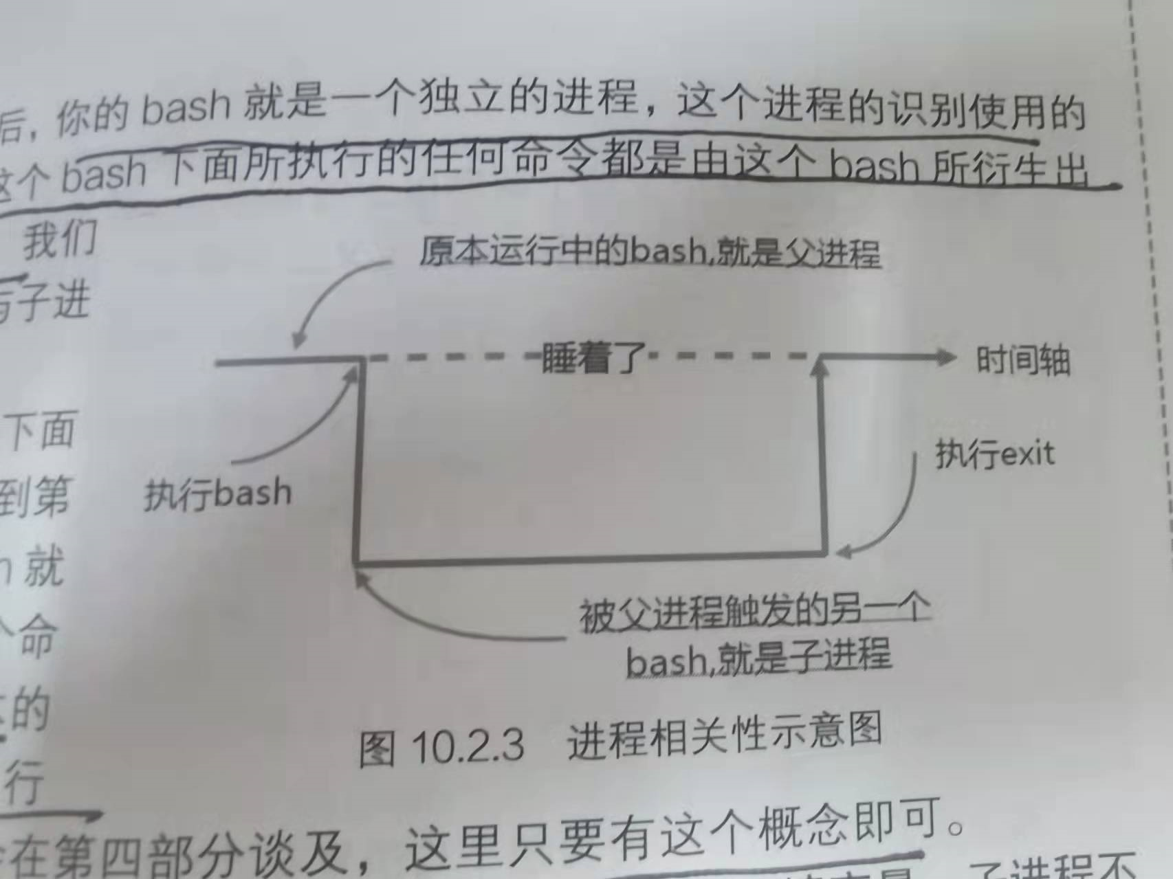 image-20220307082853471