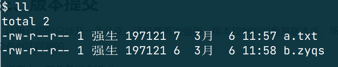image-20220306115839621