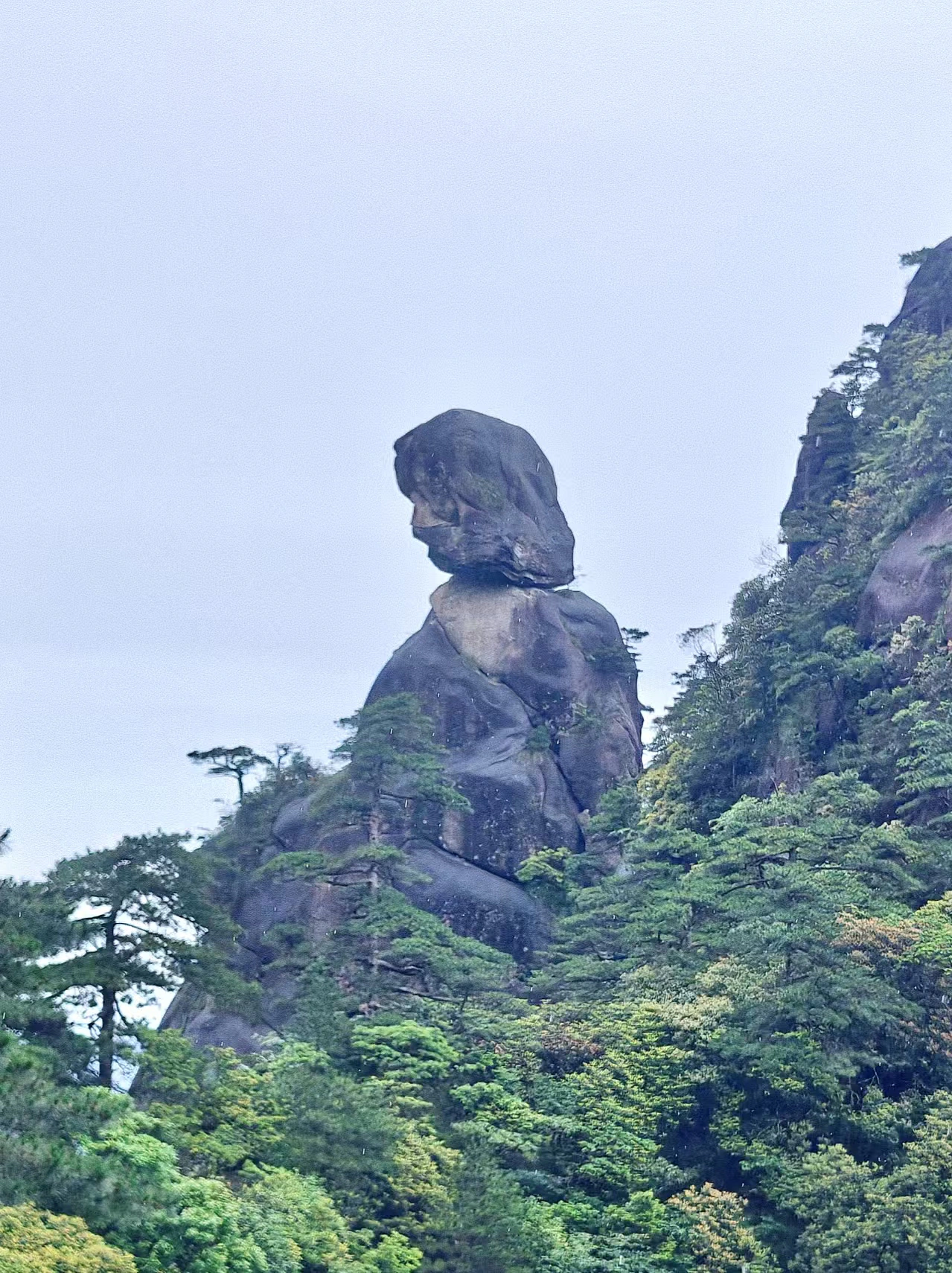 仙女