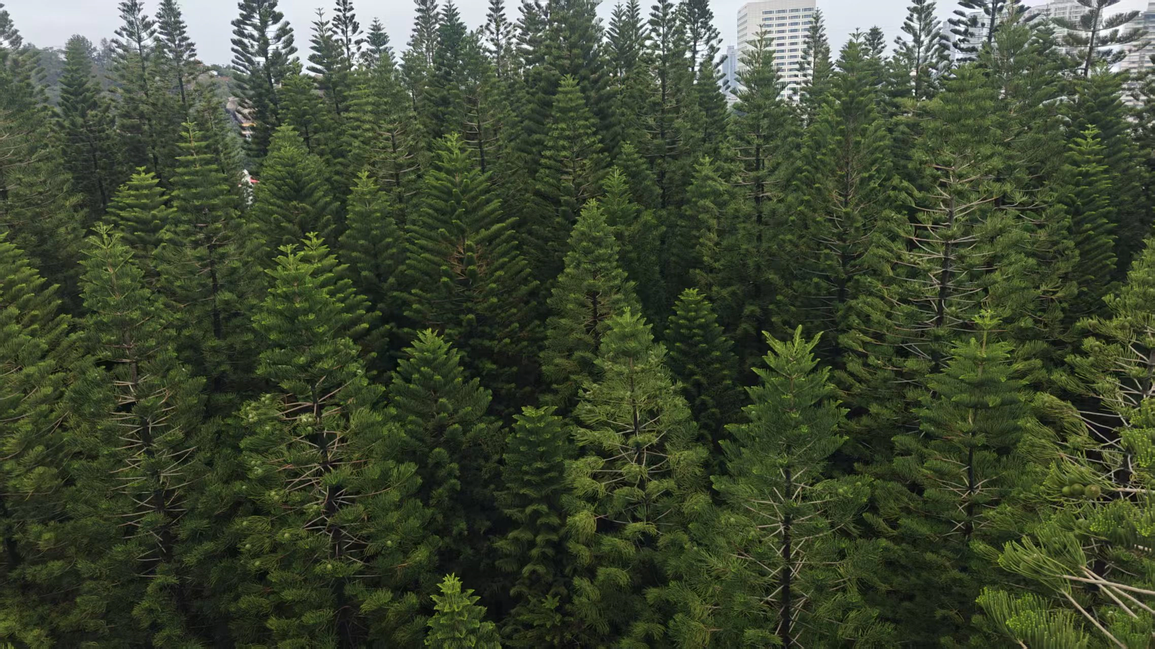 微信图片_20250614150323