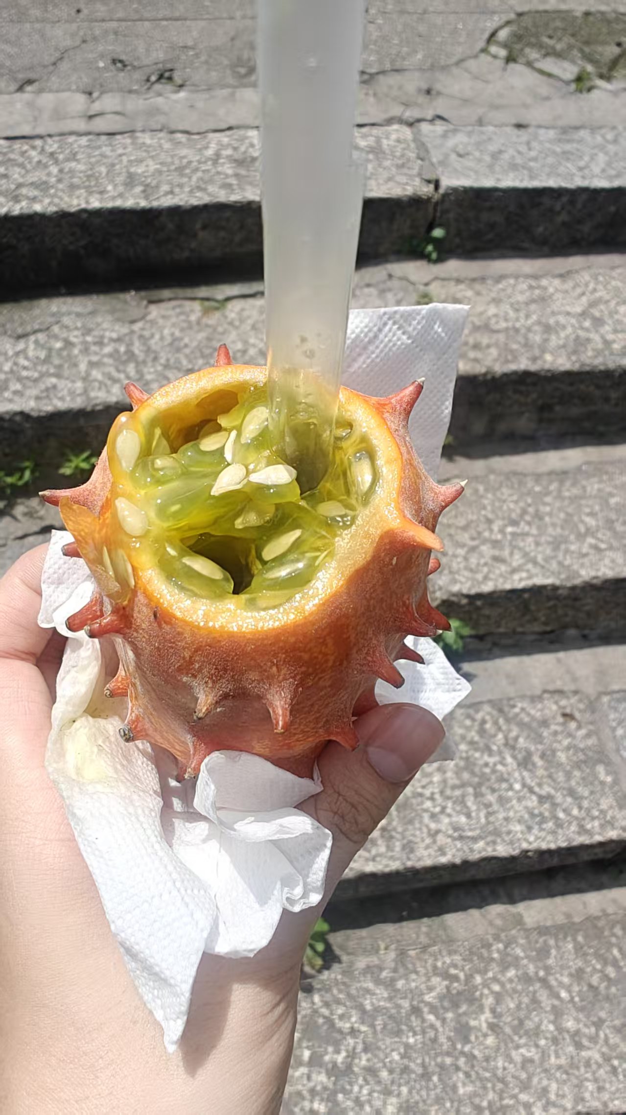 微信图片_2025-06-13_211736_888