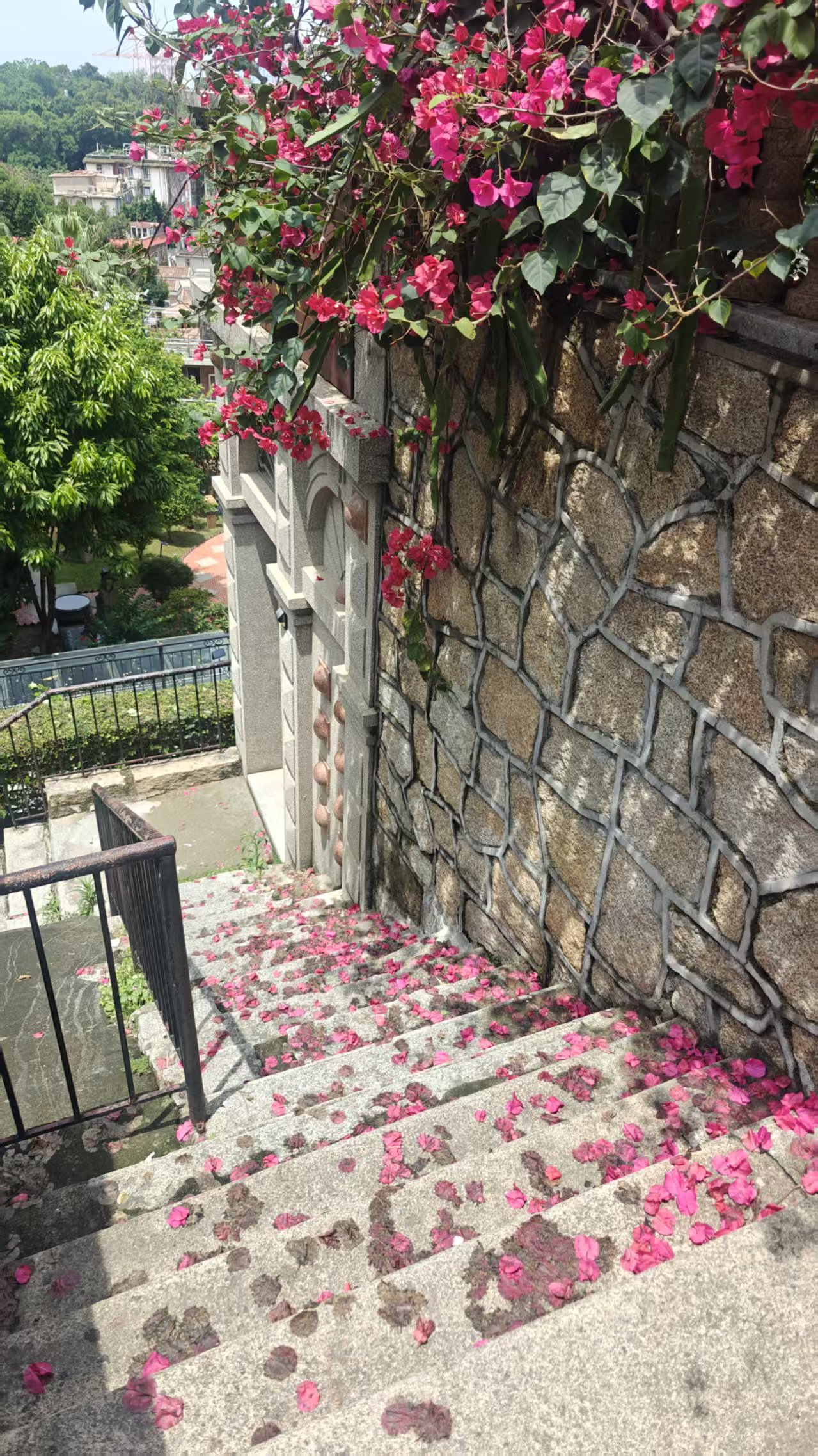 微信图片_2025-06-13_213352_209