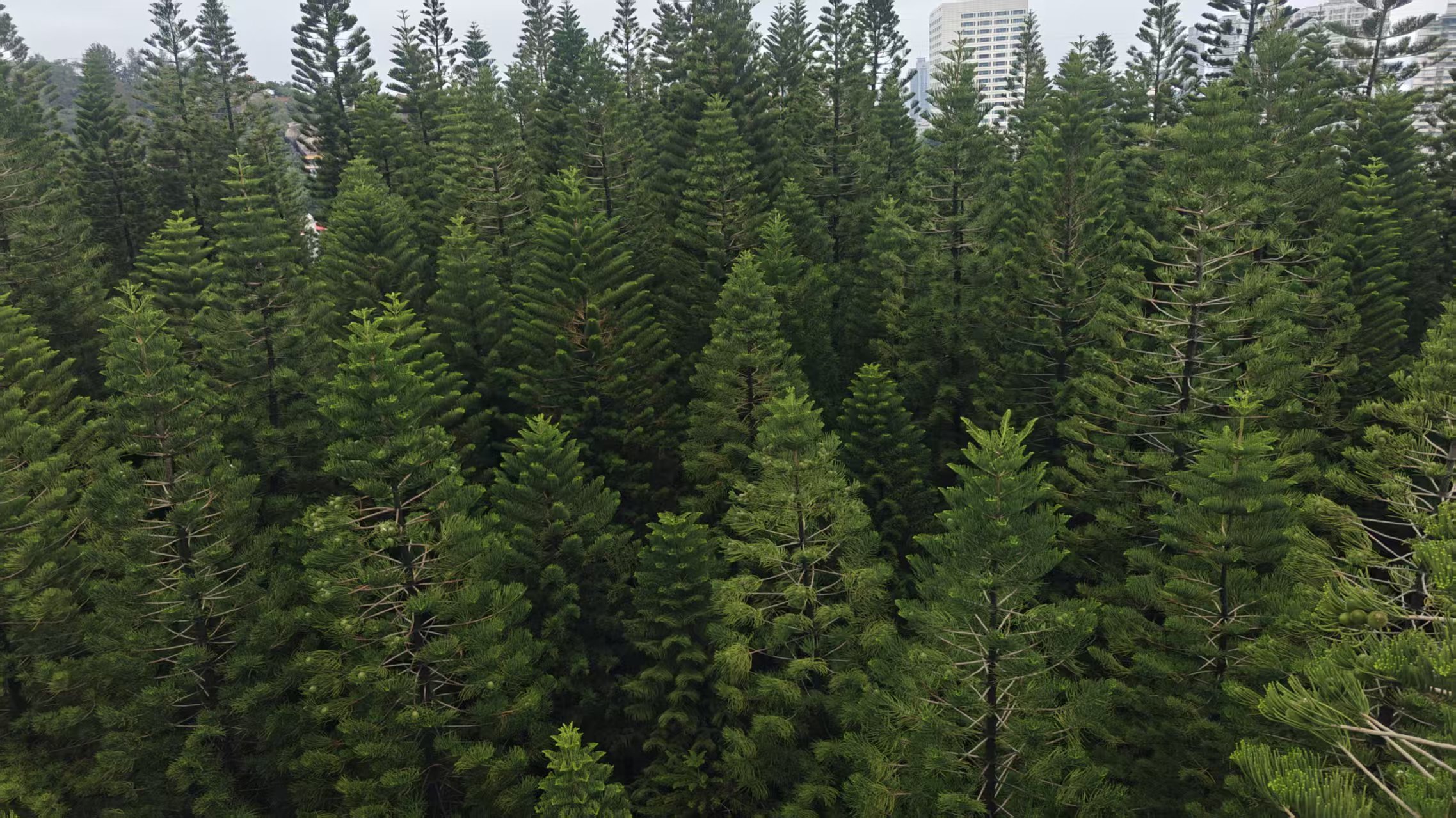 微信图片_20250614150323