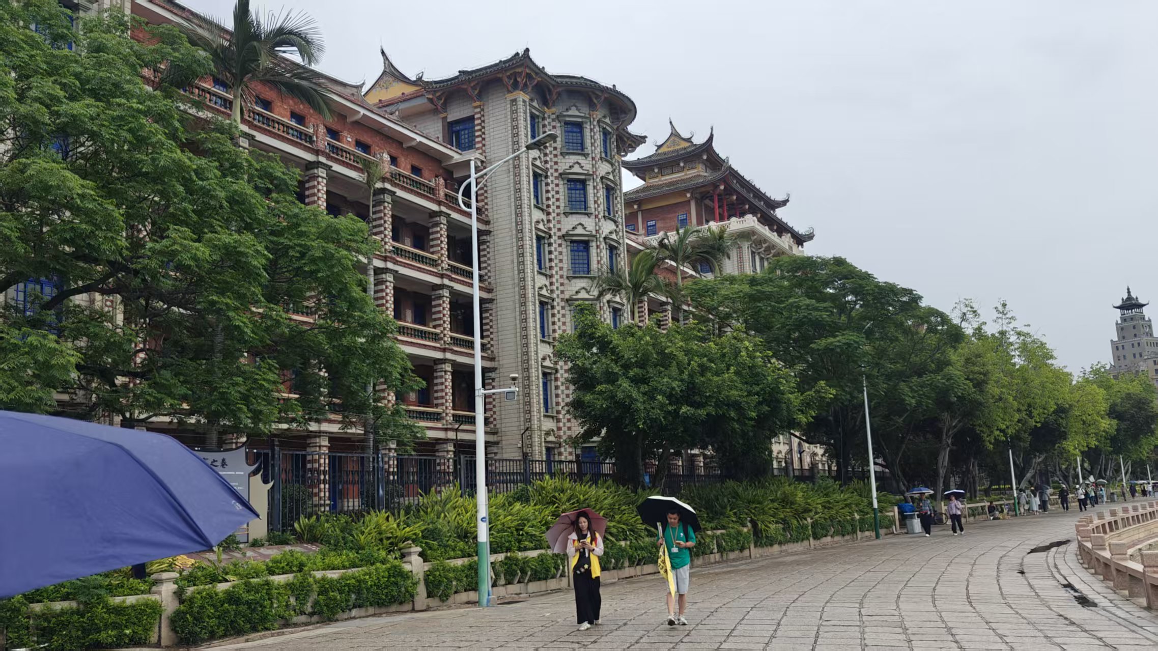 微信图片_20250614160601
