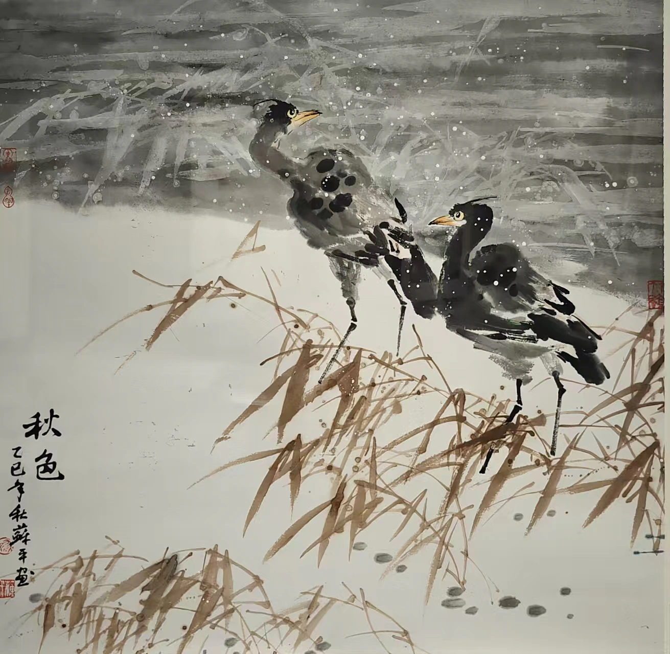 鸟图2