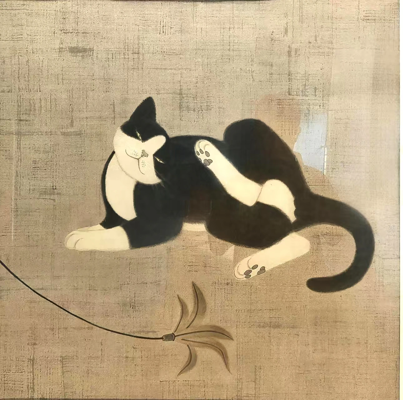 死鱼眼猫