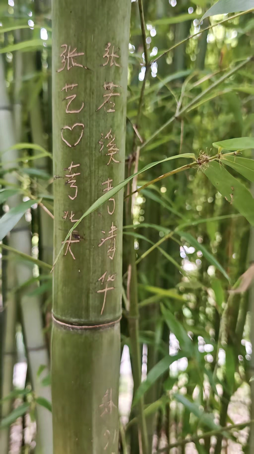 竹刻